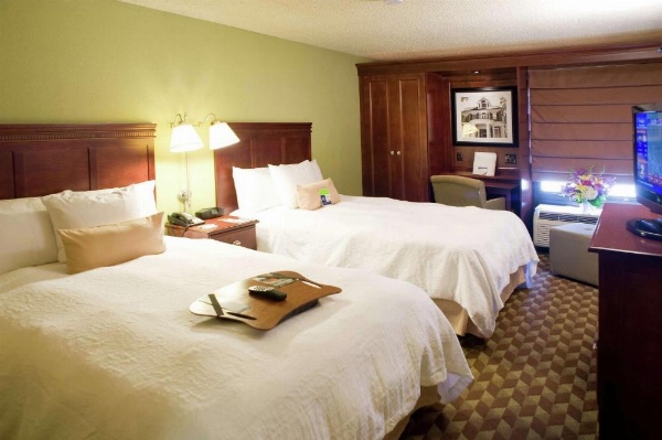 Hampton Inn By Hilton Baton Rouge-I-10 And College Dr. image 11