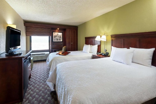 Hampton Inn By Hilton Baton Rouge-I-10 And College Dr. image 12